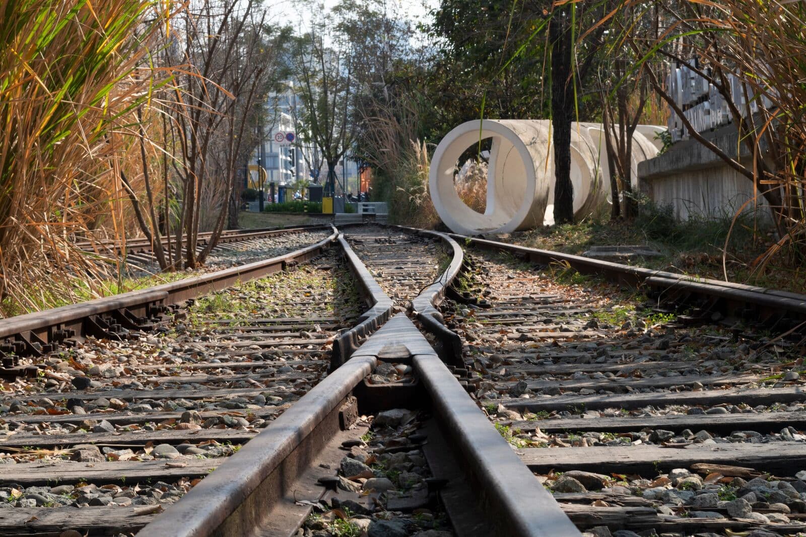 Gleisweiche, an der sich mehrere Schienenstränge verzweigen